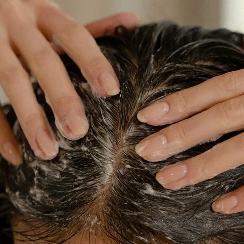 Il massaggio distribuisce Kalini Black sul cuoio capelluto